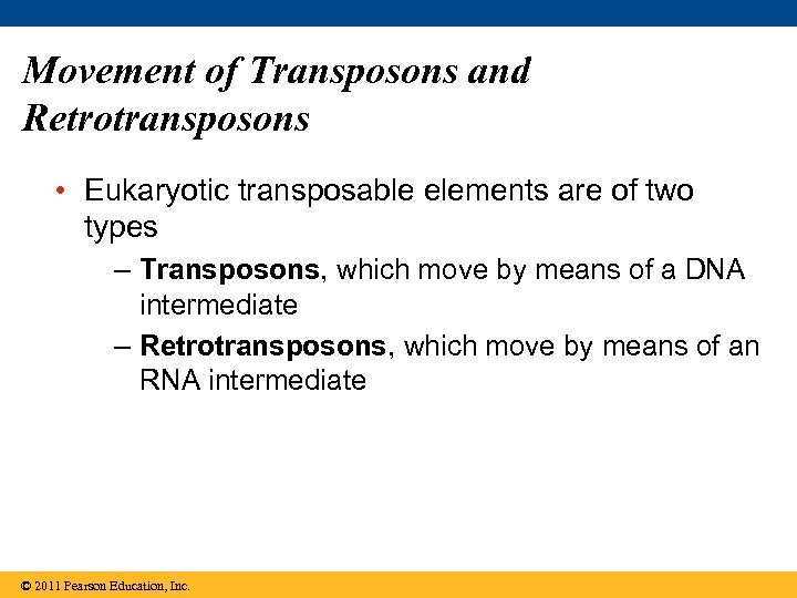 Movement of Transposons and Retrotransposons • Eukaryotic transposable elements are of two types –