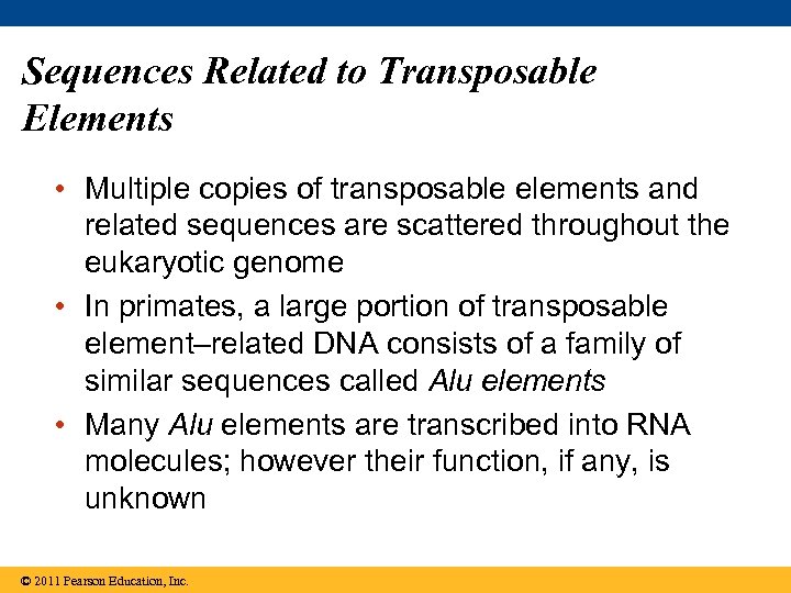 Sequences Related to Transposable Elements • Multiple copies of transposable elements and related sequences