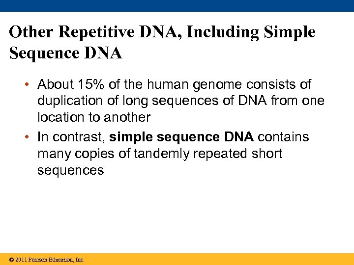 Other Repetitive DNA, Including Simple Sequence DNA • About 15% of the human genome