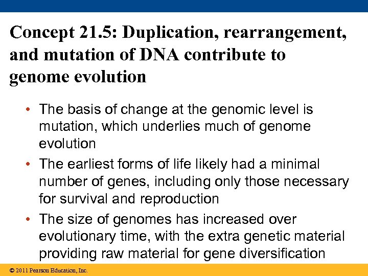 Concept 21. 5: Duplication, rearrangement, and mutation of DNA contribute to genome evolution •