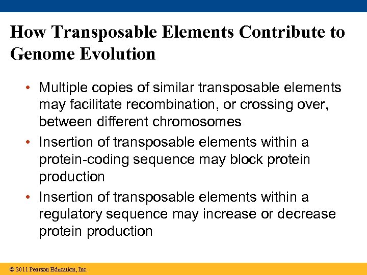 How Transposable Elements Contribute to Genome Evolution • Multiple copies of similar transposable elements
