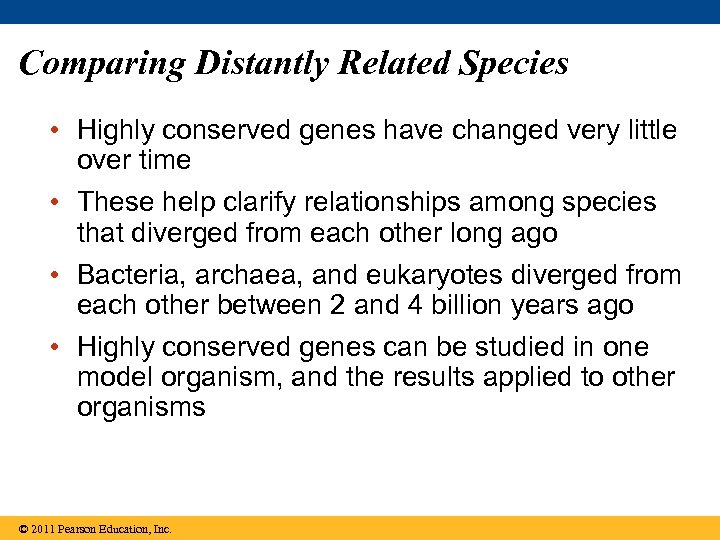 Comparing Distantly Related Species • Highly conserved genes have changed very little over time