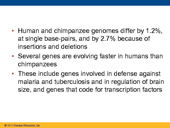  • Human and chimpanzee genomes differ by 1. 2%, at single base-pairs, and