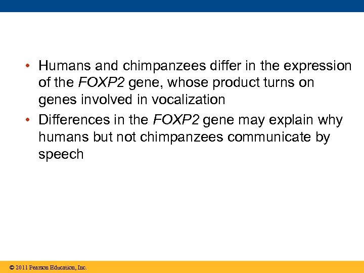  • Humans and chimpanzees differ in the expression of the FOXP 2 gene,