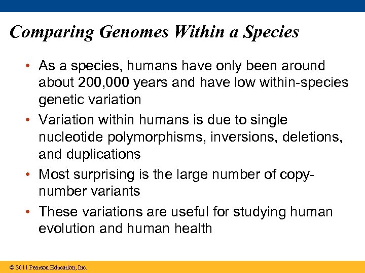 Comparing Genomes Within a Species • As a species, humans have only been around