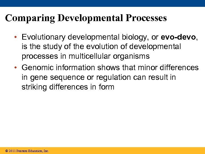 Comparing Developmental Processes • Evolutionary developmental biology, or evo-devo, is the study of the