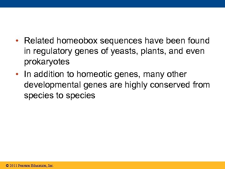  • Related homeobox sequences have been found in regulatory genes of yeasts, plants,