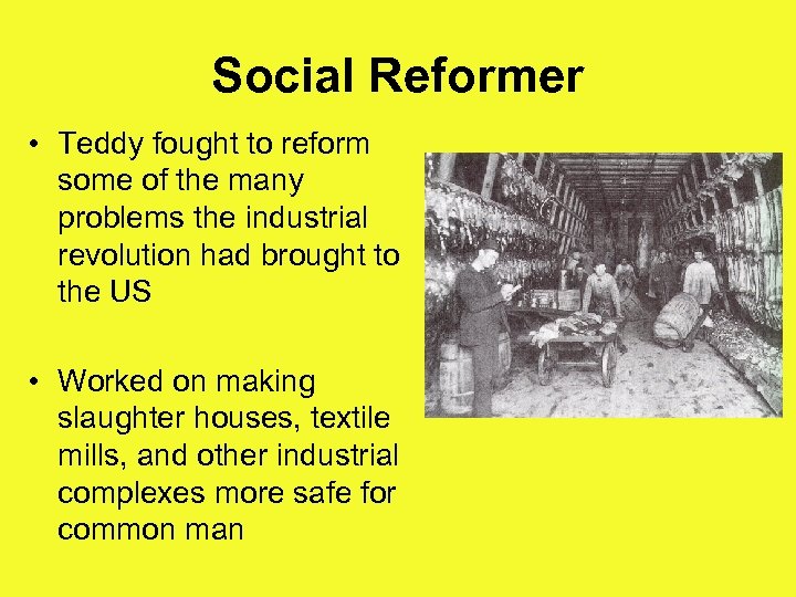 Social Reformer • Teddy fought to reform some of the many problems the industrial