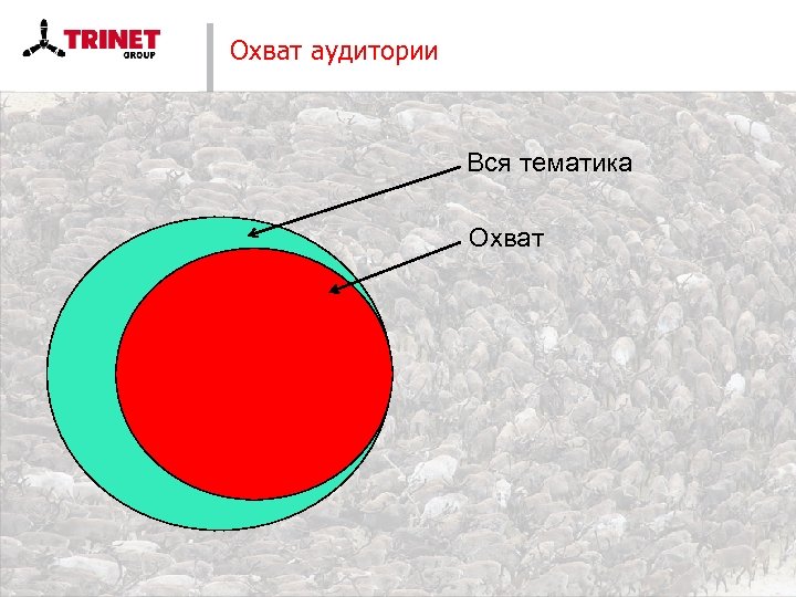 Охват аудитории Вся тематика Охват 