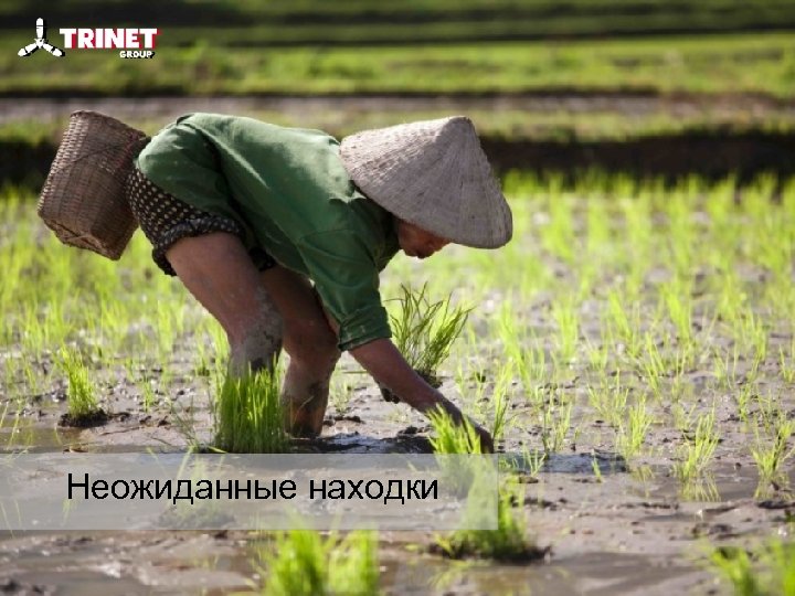 Неожиданные находки 