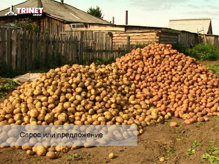 Спрос или предложение 