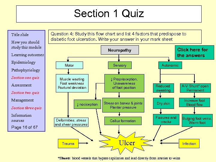 Section 1 Quiz Title slide How you should study this module Question 4: Study