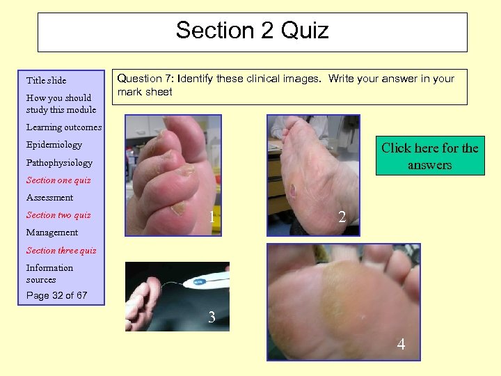 Section 2 Quiz Title slide How you should study this module Question 7: Identify