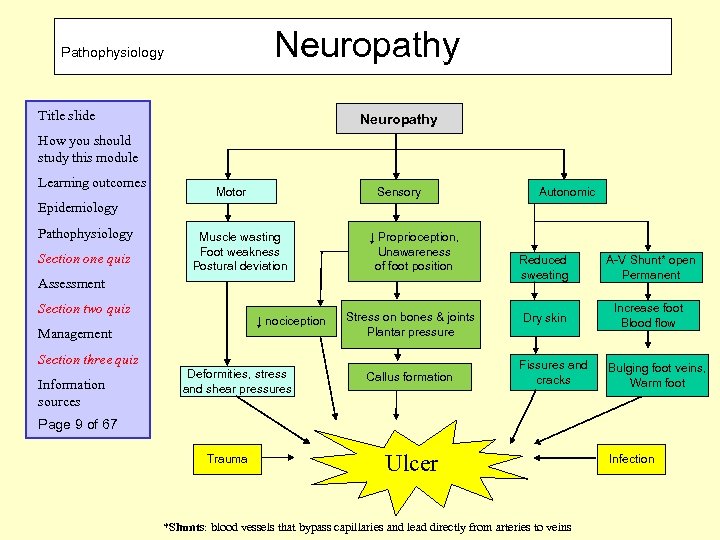Neuropathy Pathophysiology Title slide Neuropathy How you should study this module Learning outcomes Motor