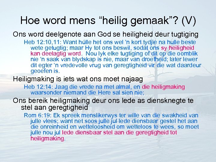 Hoe word mens “heilig gemaak”? (V) Ons word deelgenote aan God se heiligheid deur