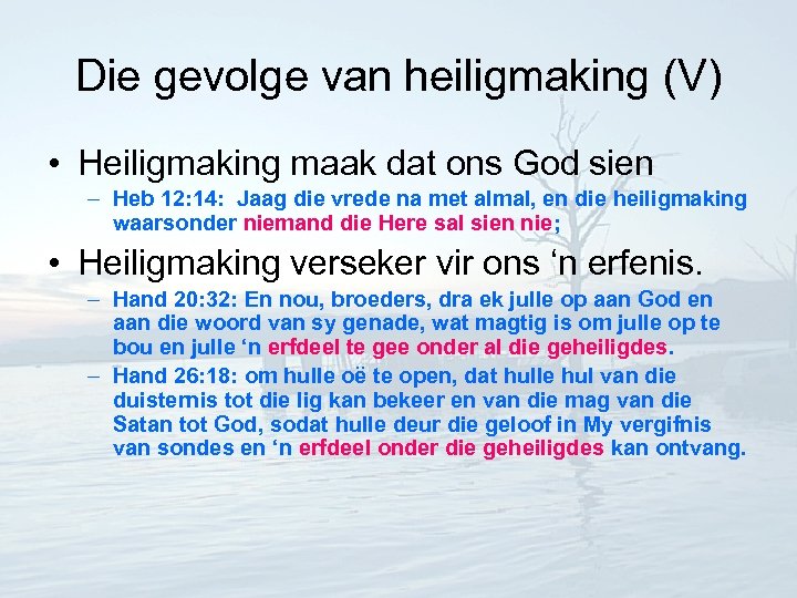 Die gevolge van heiligmaking (V) • Heiligmaking maak dat ons God sien – Heb