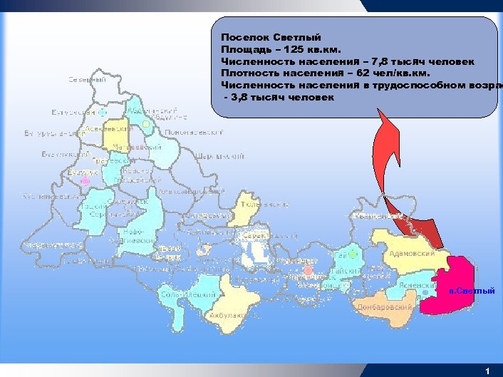 Поселок Светлый Площадь – 125 кв. км. Численность населения – 7, 8 тысяч человек