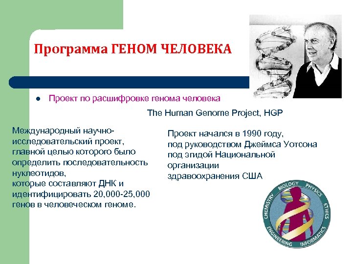 Расшифрованные геномы. Международная программа геном человека. Проект геном человека. Суть проекта геном человека. Достижения программы геном человека.