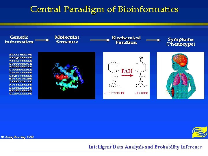 Intelligent Data Analysis and Probability Inference 