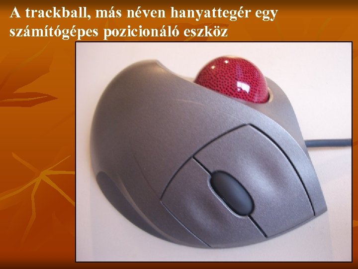 A trackball, más néven hanyattegér egy számítógépes pozicionáló eszköz 