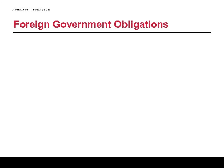 Foreign Government Obligations 