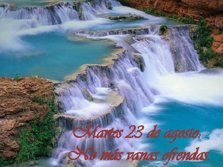 Martes 23 de agosto: No más vanas ofrendas. 