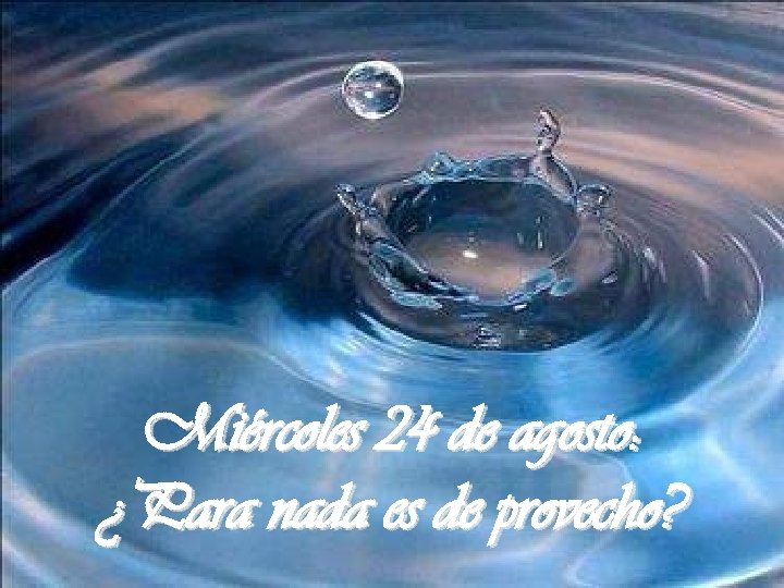 Miércoles 24 de agosto: ¿Para nada es de provecho? 