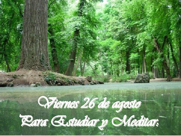 Viernes 26 de agosto Para Estudiar y Meditar: 