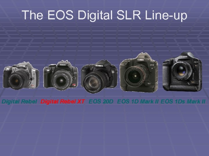 The EOS Digital SLR Line-up Digital Rebel XT EOS 20 D EOS 1 D
