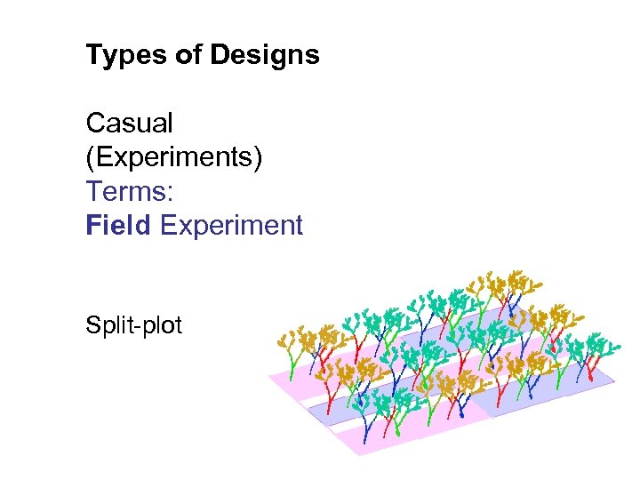 Types of Designs Casual (Experiments) Terms: Field Experiment Split-plot 