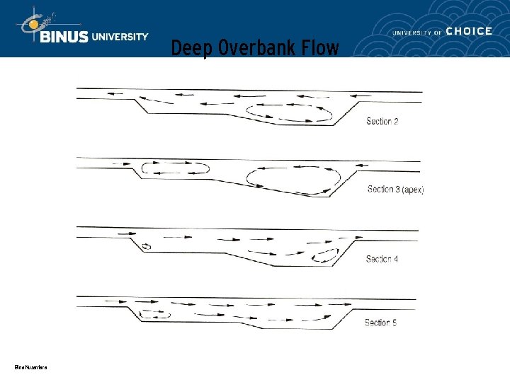 Deep Overbank Flow Bina Nusantara 