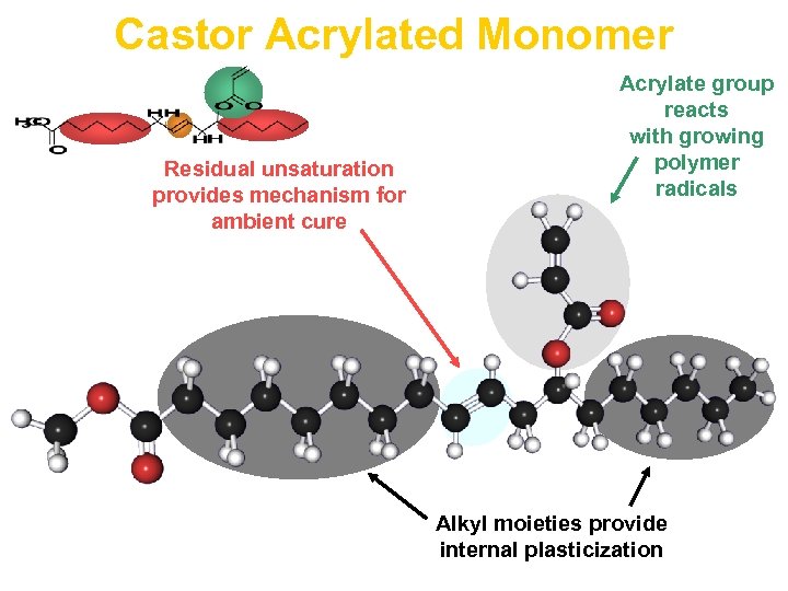 Castor Acrylated Monomer Residual unsaturation provides mechanism for ambient cure Acrylate group reacts with