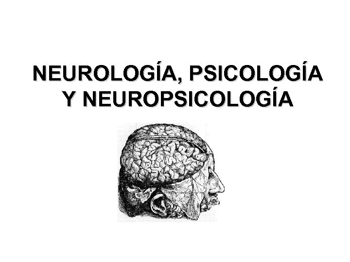 NEUROLOGÍA, PSICOLOGÍA Y NEUROPSICOLOGÍA 