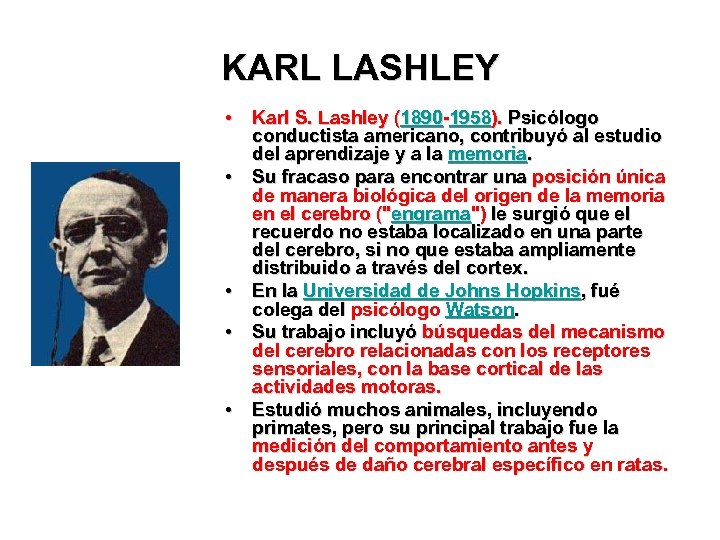 KARL LASHLEY • Karl S. Lashley (1890 -1958). Psicólogo conductista americano, contribuyó al estudio