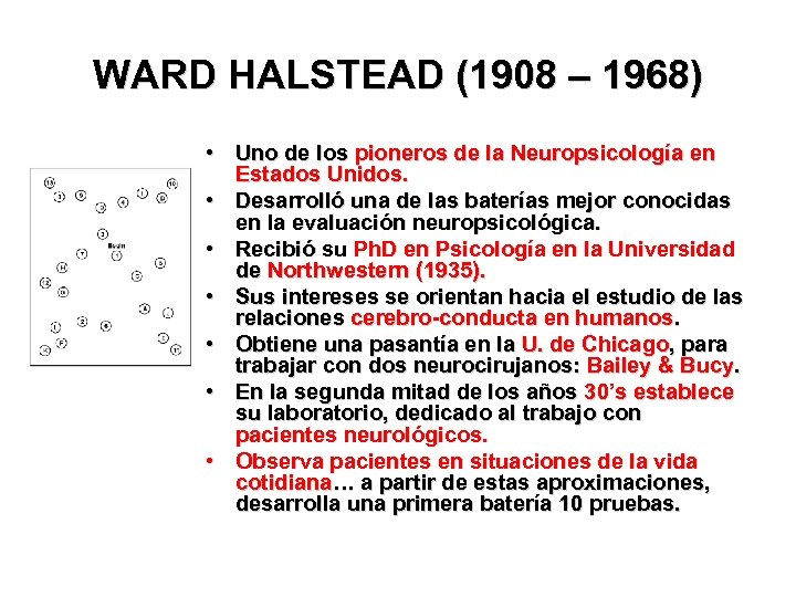 WARD HALSTEAD (1908 – 1968) • Uno de los pioneros de la Neuropsicología en