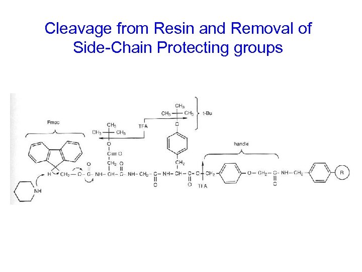 Cleavage from Resin and Removal of Side-Chain Protecting groups 