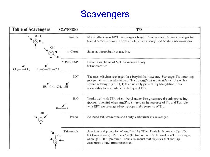 Scavengers 