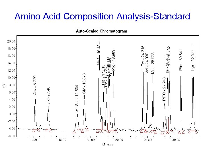 Amino Acid Composition Analysis-Standard 