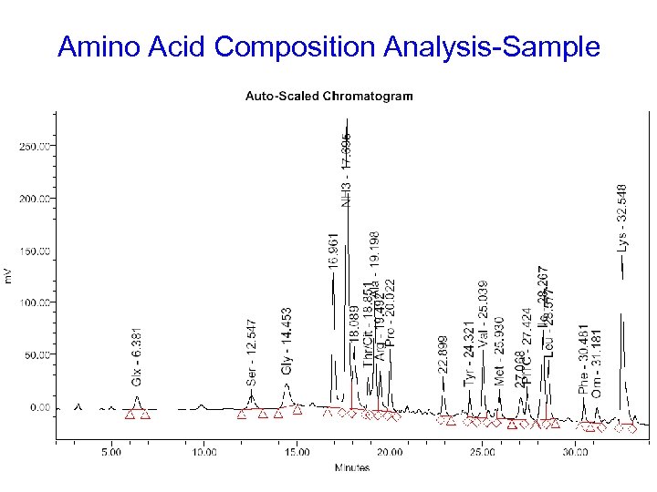 Amino Acid Composition Analysis-Sample 