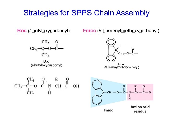 Strategies for SPPS Chain Assembly Boc (t-butyloxycarbonyl) Fmoc (9 -fluorenylmethoxycarbonyl) 