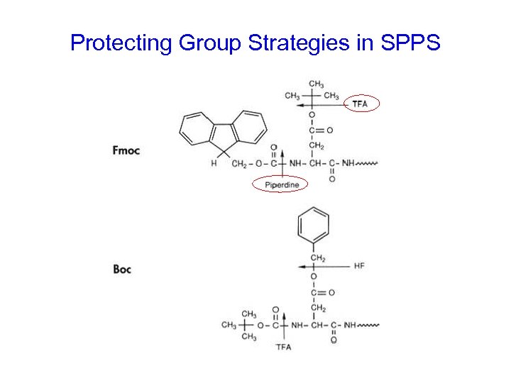 Protecting Group Strategies in SPPS 