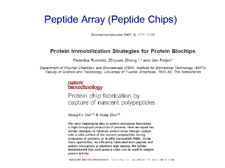 Peptide Array (Peptide Chips) 