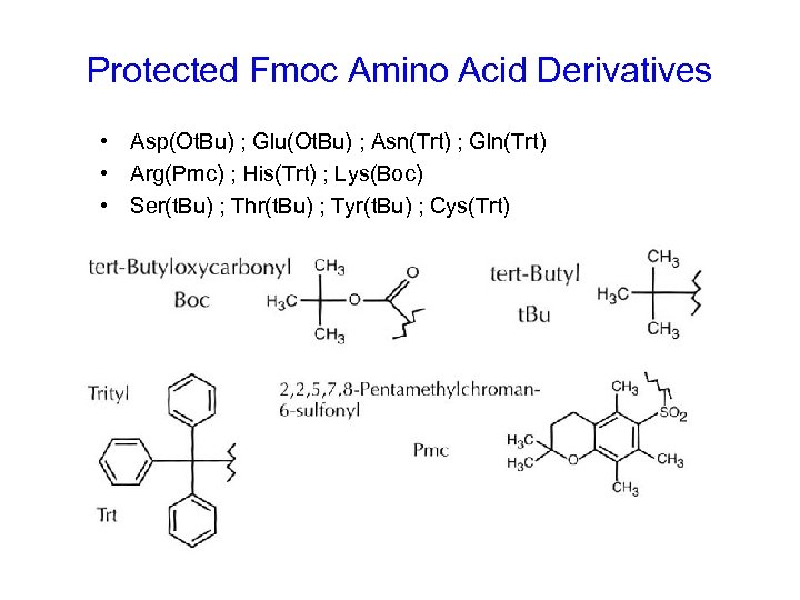 Protected Fmoc Amino Acid Derivatives • Asp(Ot. Bu) ; Glu(Ot. Bu) ; Asn(Trt) ;