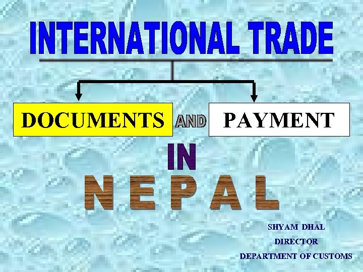 DOCUMENTS PAYMENT SHYAM DHAL DIRECTOR DEPARTMENT OF CUSTOMS 