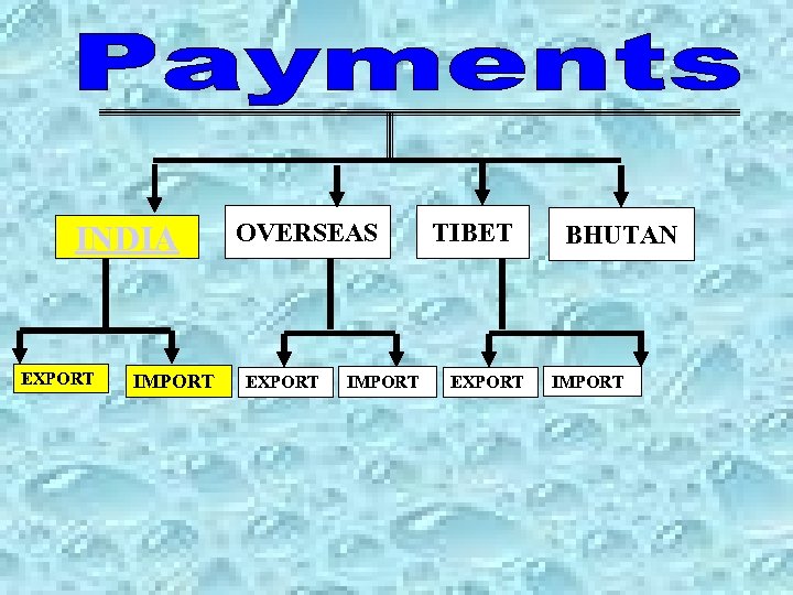 INDIA EXPORT IMPORT OVERSEAS EXPORT IMPORT TIBET EXPORT BHUTAN IMPORT 