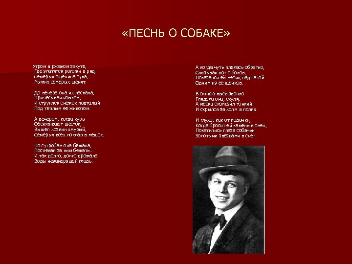  «ПЕСНЬ О СОБАКЕ» Утром в ржаном закуте, Где златятся рогожи в ряд, Семерых