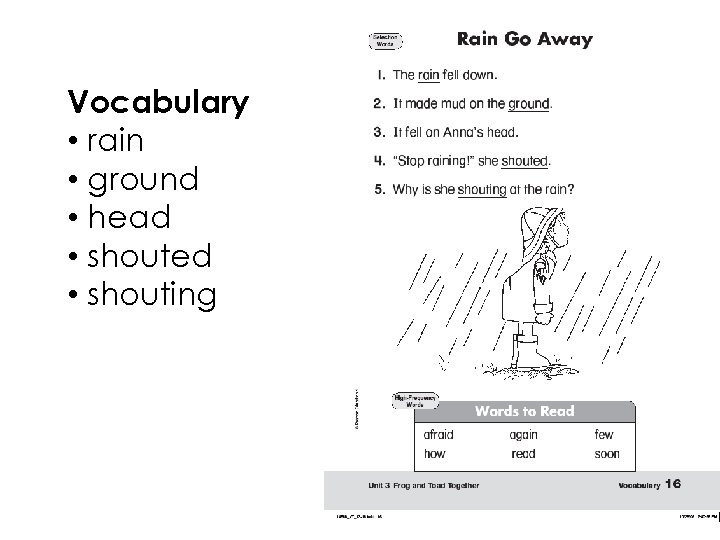 Vocabulary • rain • ground • head • shouted • shouting 