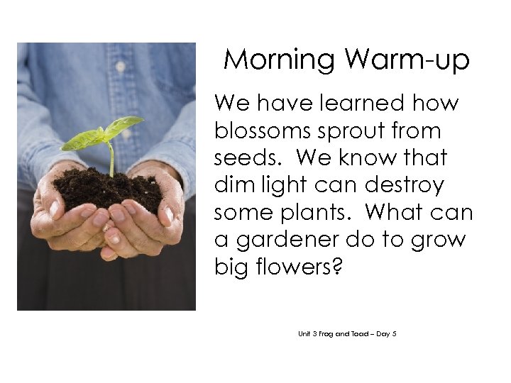 Morning Warm-up We have learned how blossoms sprout from seeds. We know that dim