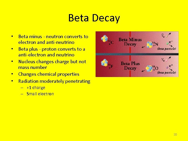 Beta Decay • Beta minus - neutron converts to electron and anti-neutrino • Beta