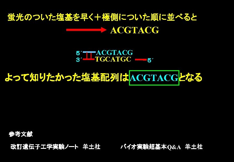 蛍光のついた塩基を早く＋極側についた順に並べると ACGTACG ５´ ３´ ACGTACG TGCATGC ５´ よって知りたかった塩基配列はACGTACGとなる 参考文献 改訂遺伝子 学実験ノート　羊土社　　　　　バイオ実験超基本Q&A　羊土社 